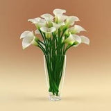 test1