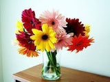 test1